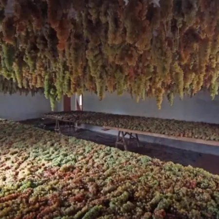 Lejlighed Agritourismus Vigne Di Pace The Guardian